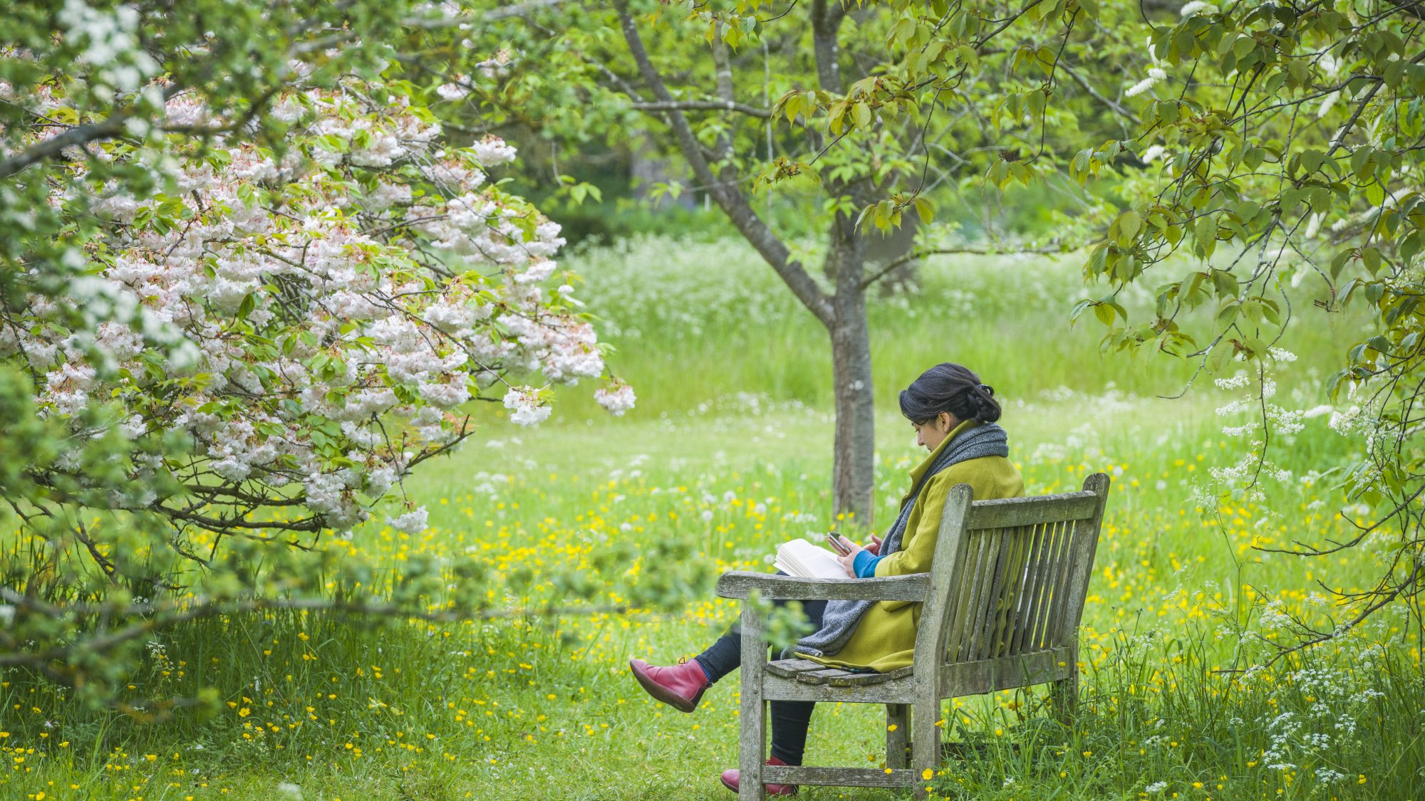 someone sitting on a bench in the Botanic Garden in spring