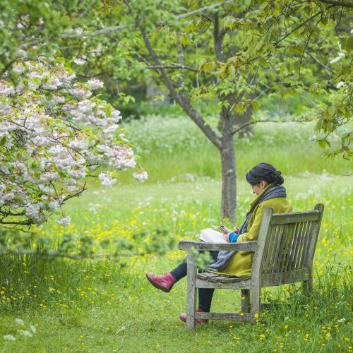 Unearthing the past: How to write a nature memoir