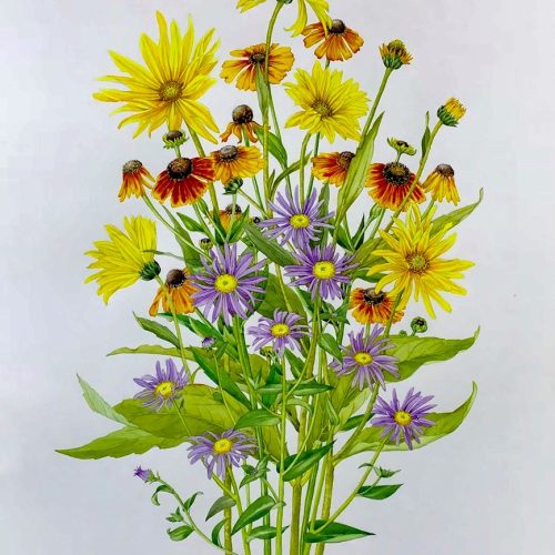 Capturing colour in a summer bouquet