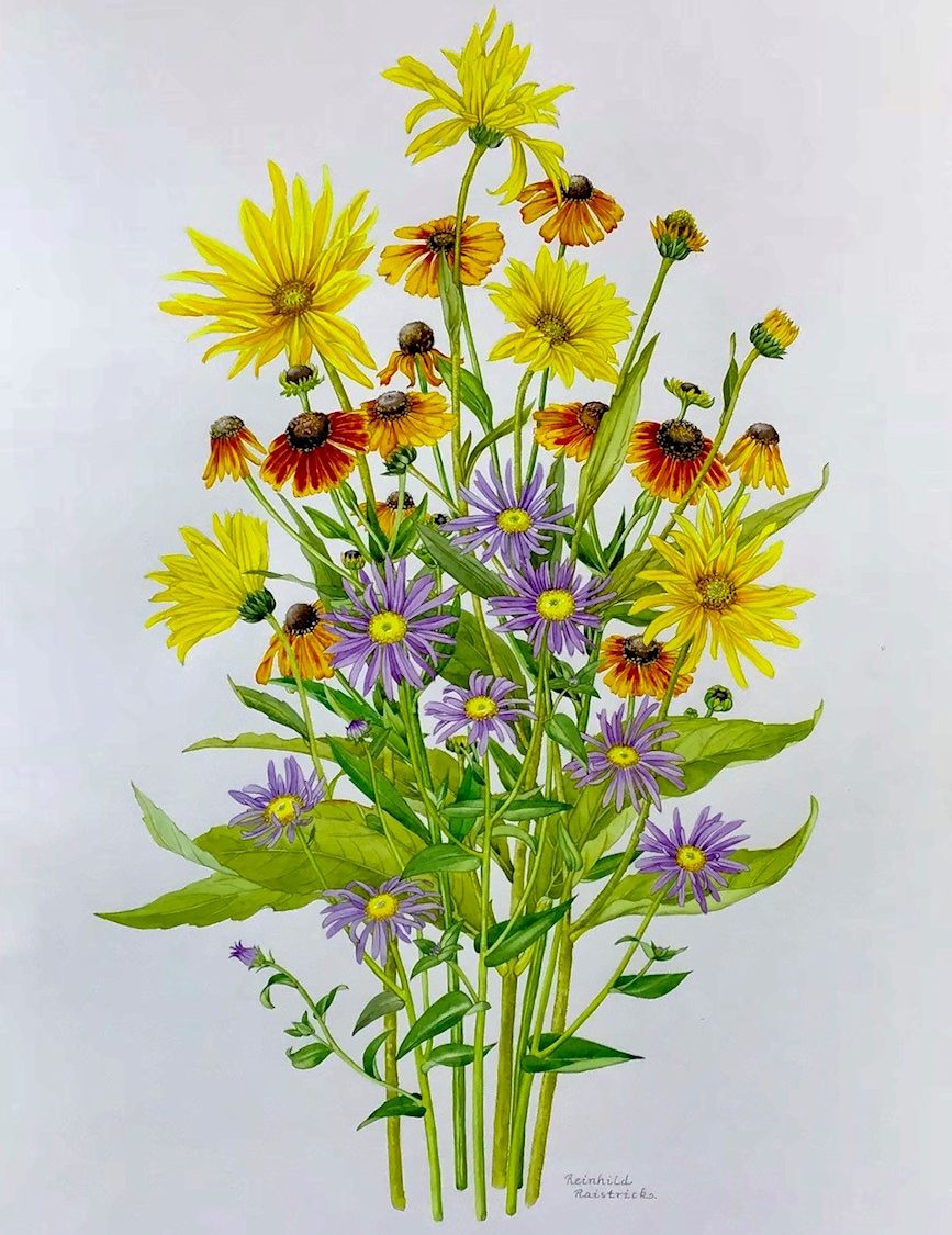 an illustration of autumn leaves, fruits and fungi