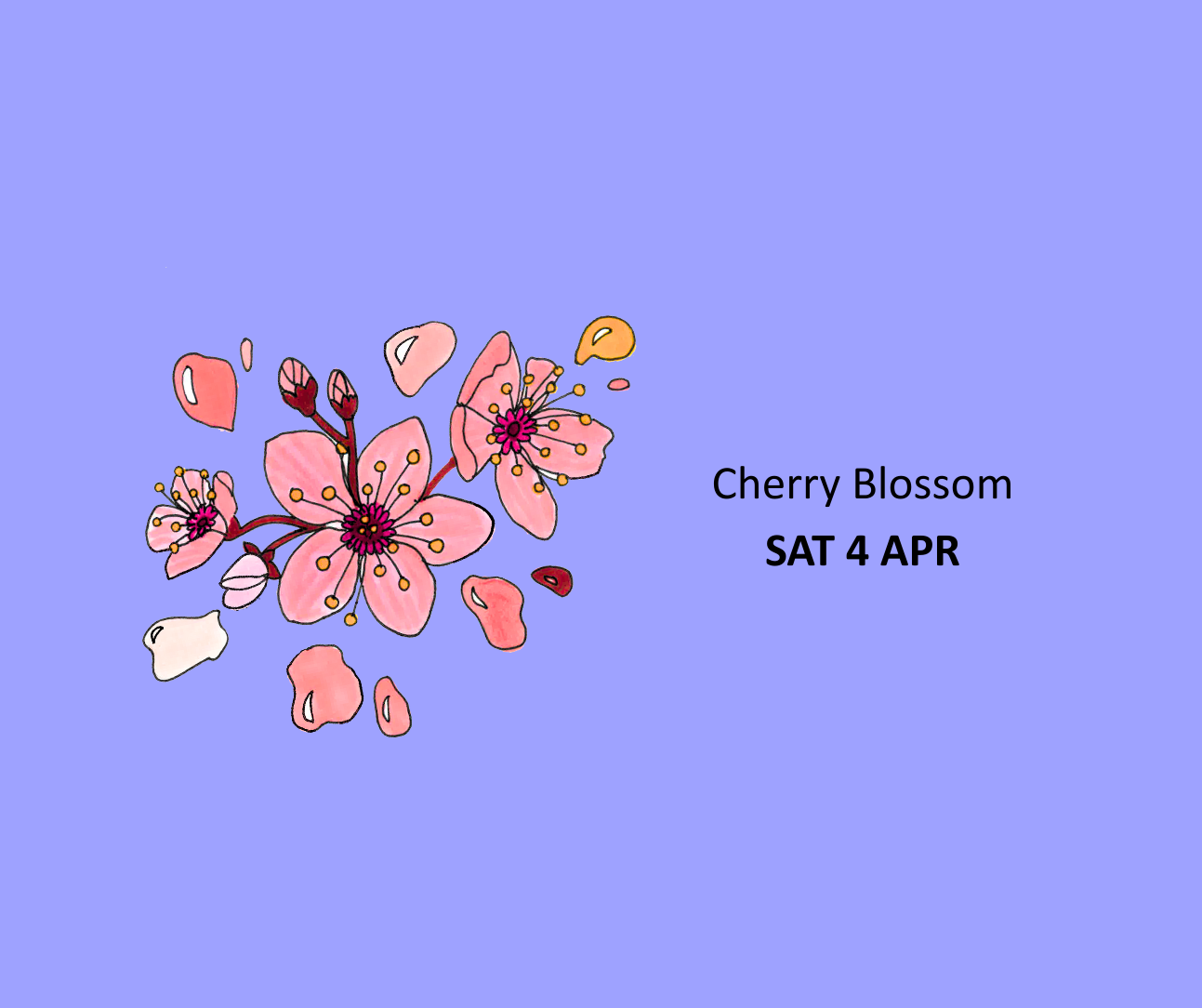 A picture of cherry blossom and buds