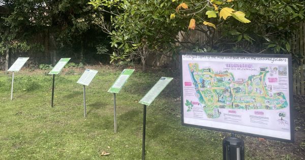 Exhibition showing outcomes from the Community Participatory Research Project at Cambridge University Botanic Garden - boards showing the illustrated garden map and poems written by co-researchers