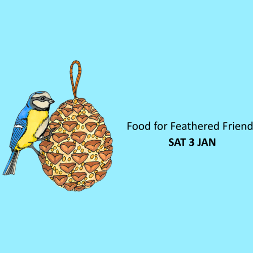 Food for Feathered Friends
