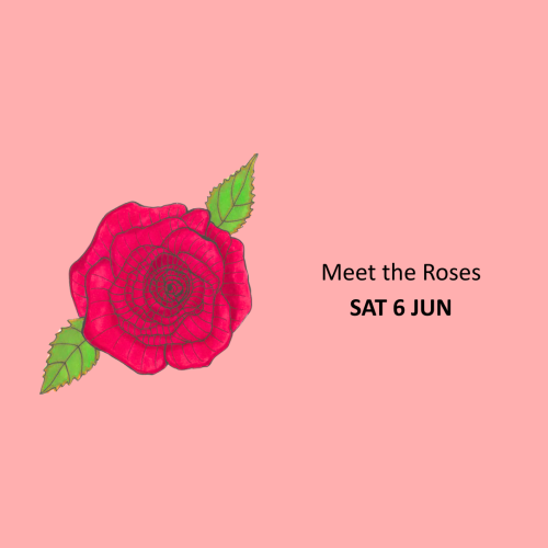 Meet the Roses