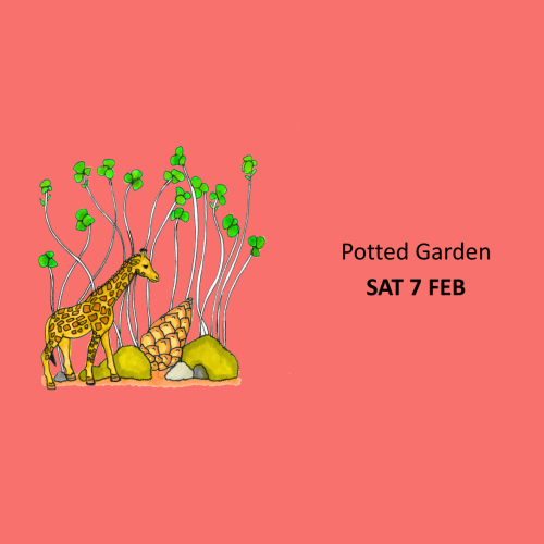 Potted Garden