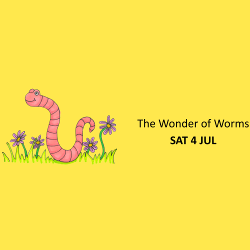 The Wonder of Worms