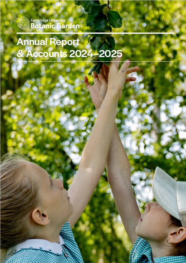 CUBG Annual Report 24/25 front cover showing two children in school uniform reaching up and touching a tree branch covered in leaves.