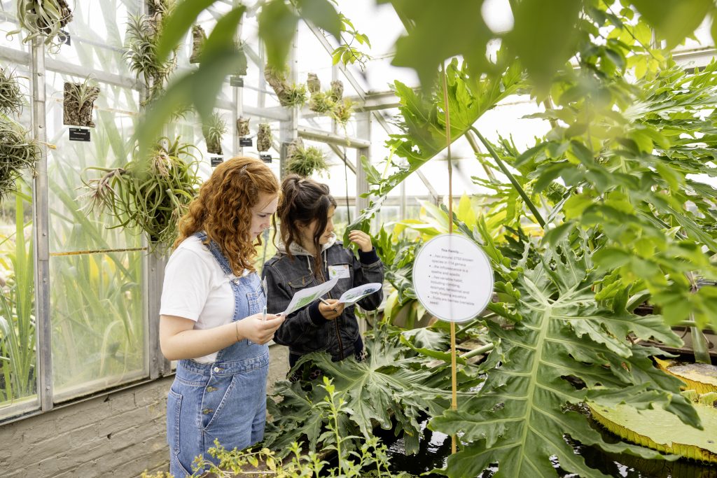 Studying plants in the glasshouses, Cambridge University Botanic Garden