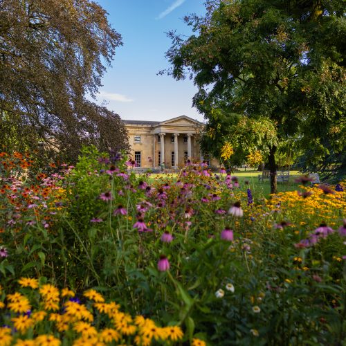 Friends' Downing College - Garden Tour & Afternoon Tea