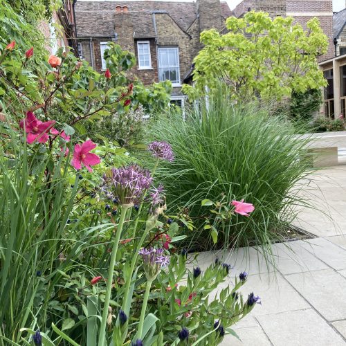 Pembroke College – Dolby Quarter