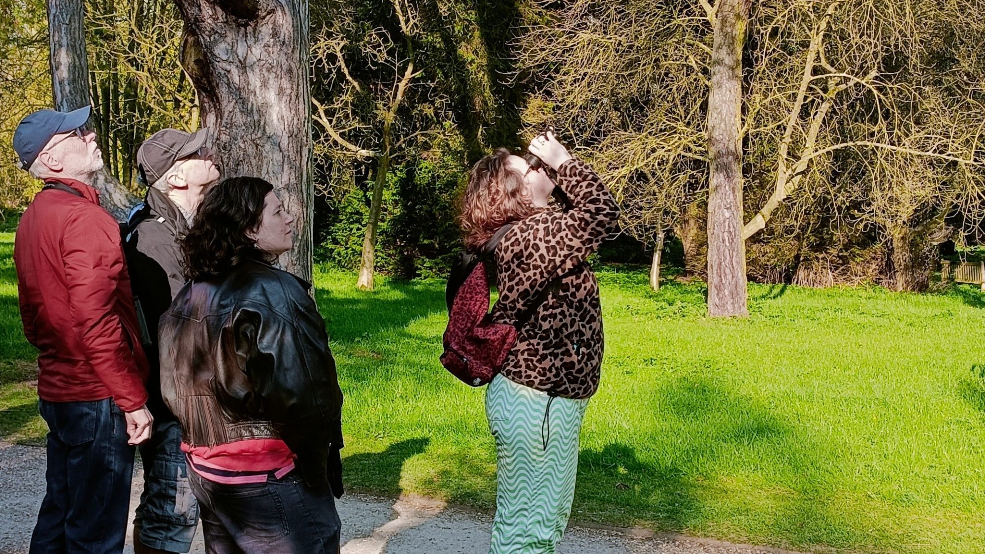 four people bird watching