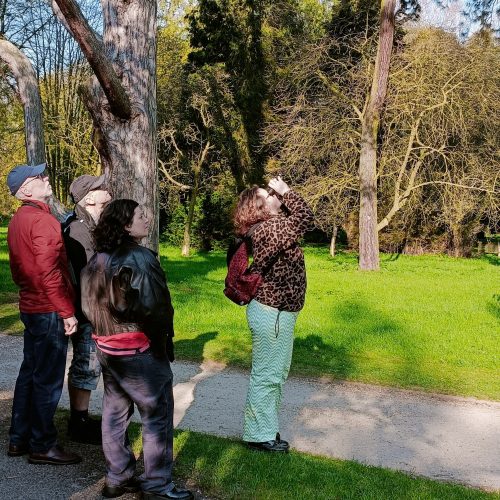 Early Bird Tours (Tuesday 22 April)