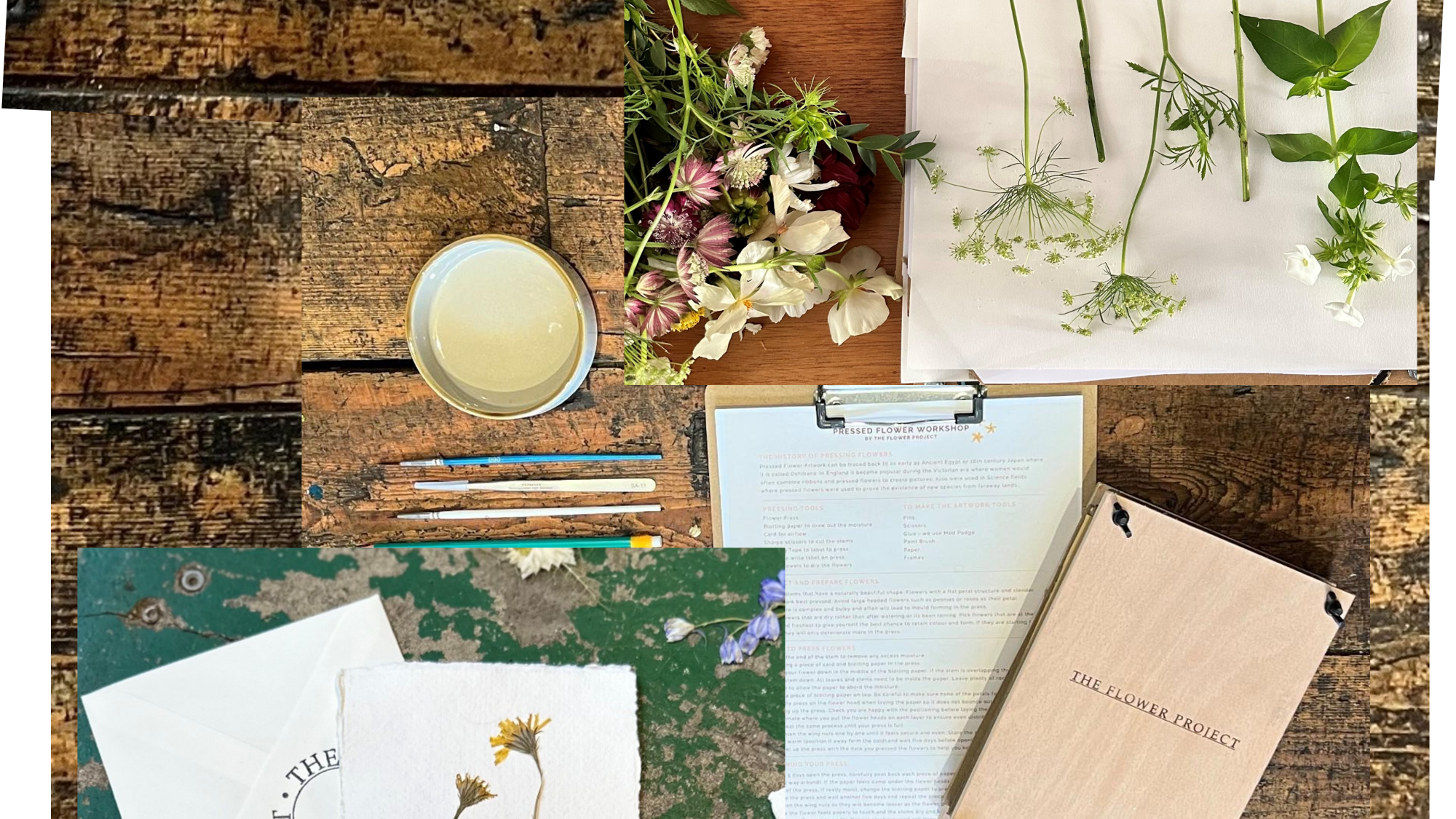 Tropical House foliage