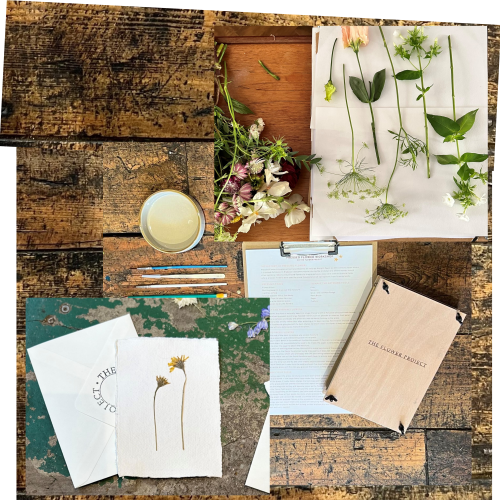 Friends' Flower Pressing