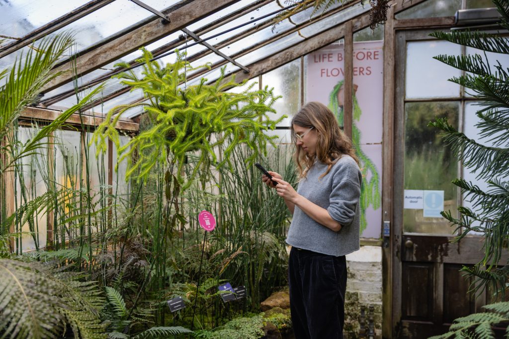 A woman is standing in the glasshouse looking at her mobile phone which is pointed at the pink Talking Plants label and QR code