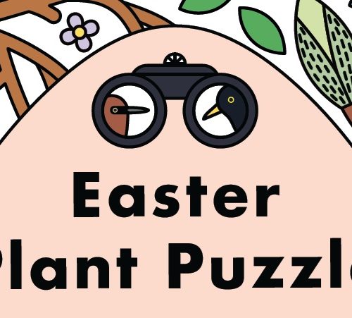 Easter Plant Puzzle