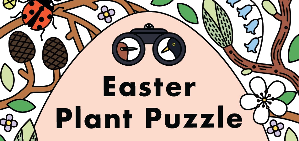 A colourful illustration including branches, leaves, flowers, pinecones and a ladybird, with binoculars and 'Easter Plant Puzzle' in the centre.