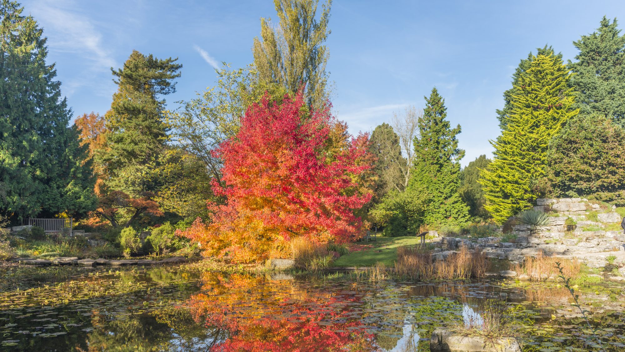 Selection of trees of different greens, reds and yellows surrounding a lake and rocks to the right.