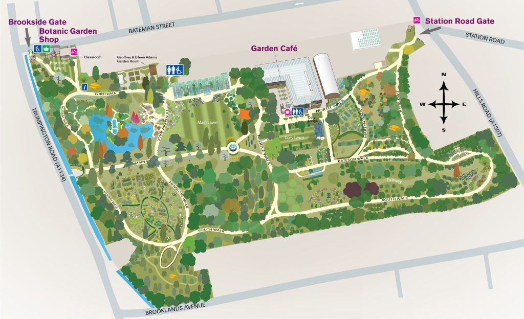 An illustrated map of Cambridge University Botanic Garden.
