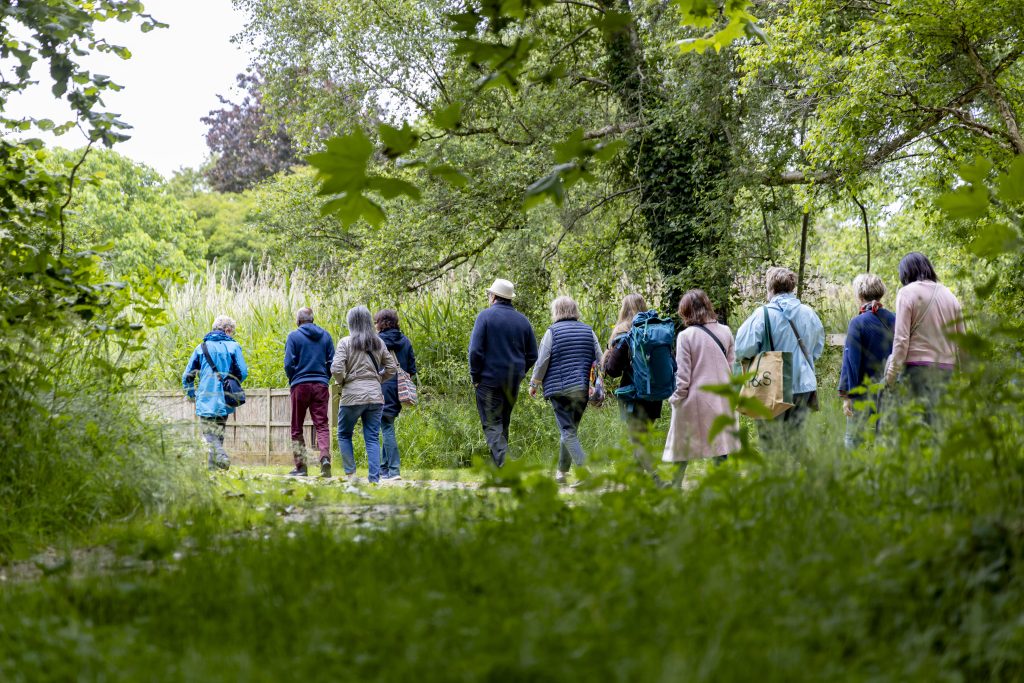 A group of people walking along a lush, green path. They are surrounded by tall trees and dense foliage.