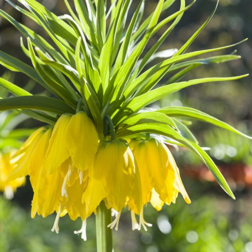 What's On this Easter 2026