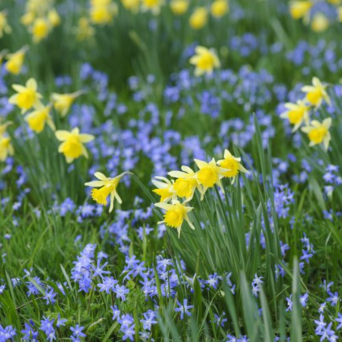 What’s On this Spring 2026