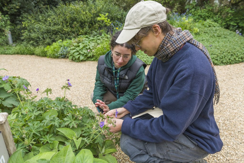 New Cambridge course set to revive botany and bridge critical gap in plant  science education - Cambridge University Botanic Garden