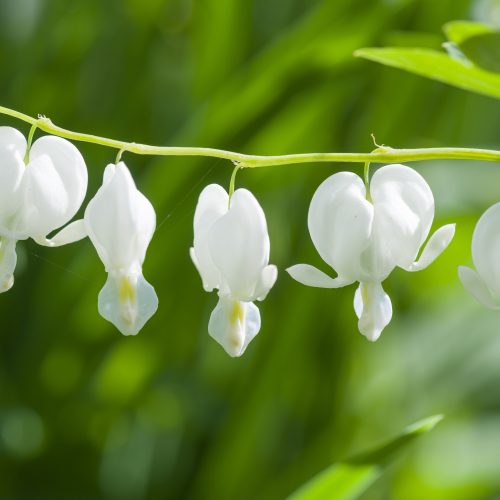 What's on this May half-term 2026