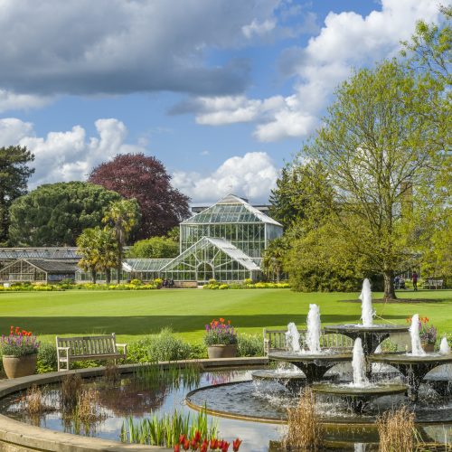 Cambridge University Botanic Garden wins Best Tourist Attraction for a second year