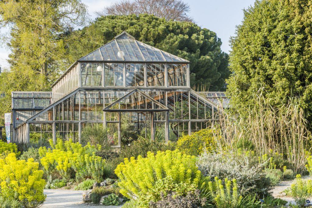 A large greenhouse with a glass exterior is surrounded by lush greenery and various plants. The scene is bright and filled with vibrant yellow and green foliage.