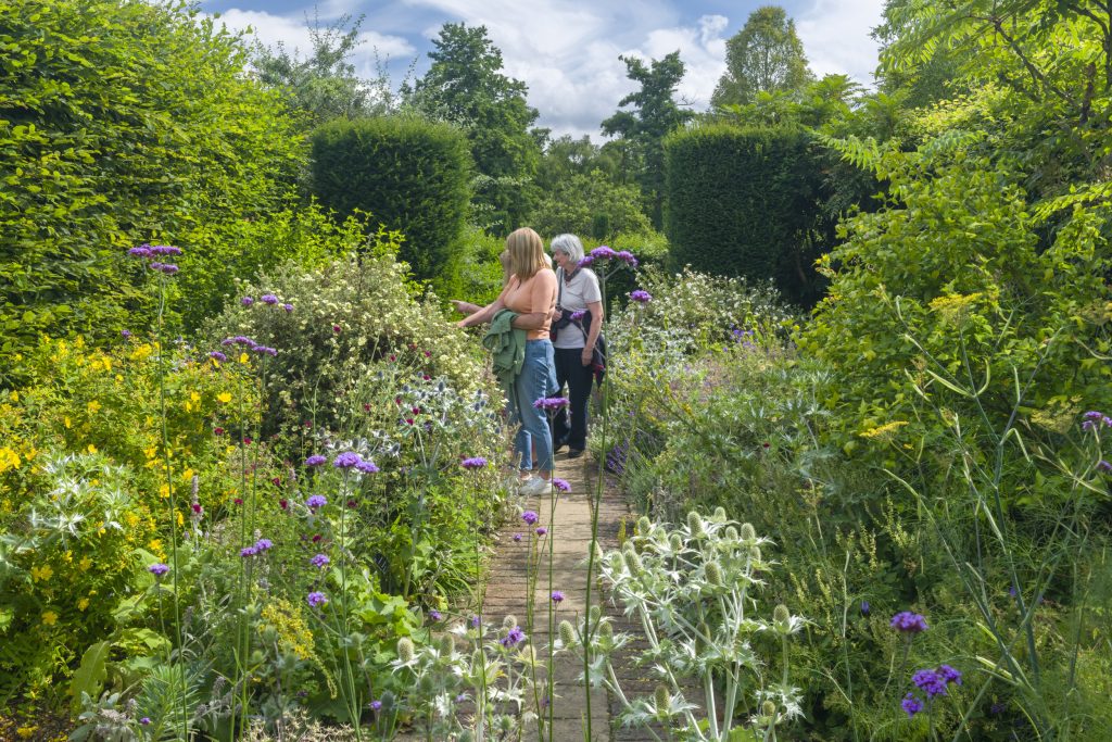 A group of people leisurely explore a lush garden pathway, surrounded by a variety of colourful flowers and dense green foliage under a partly cloudy sky.