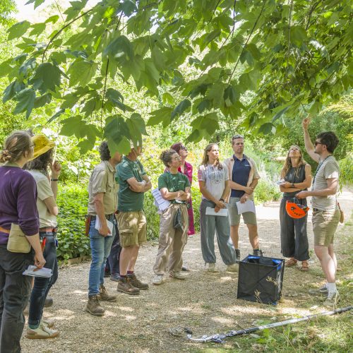 Cambridge University Botanic Garden to host European Botanic Gardens Consortium meeting