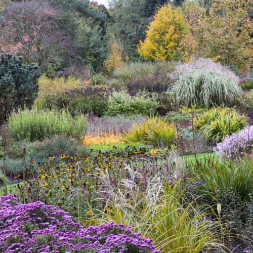 Friends' Outing: Bressingham Gardens