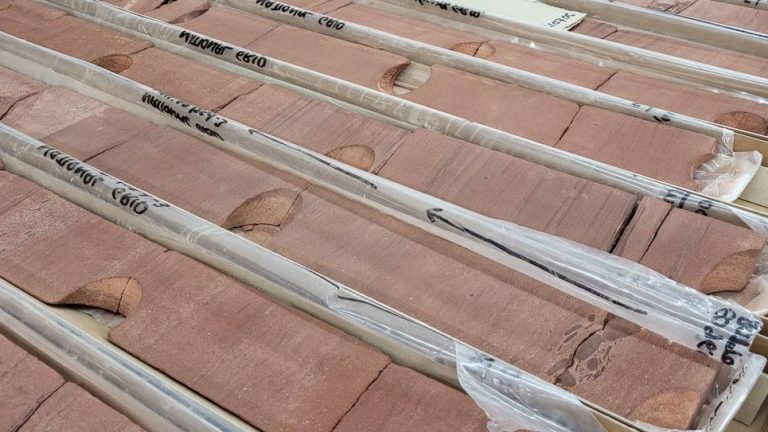 CASP and North Sea Core provide North Sea Triassic core workshop