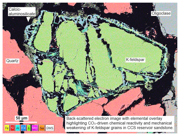 Semi-transparent elemental map overlain onto a back scattered electron map showing fracturing, dissolution and precipitation of new phases following CO2-enriched experiment on the Captain Sandstone, from Farrell et al. (2026)