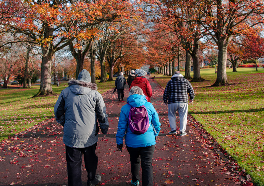 87644940 950 C 47 A6 A39 D 9021 DE2 A219 E