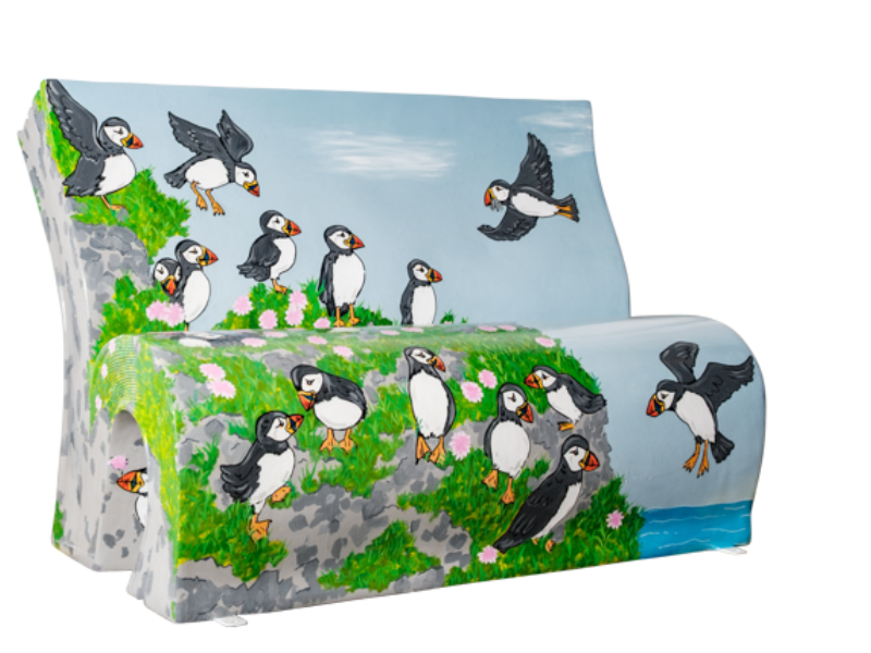 Nuffin But Puffins front digital