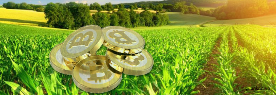 home e agriculture