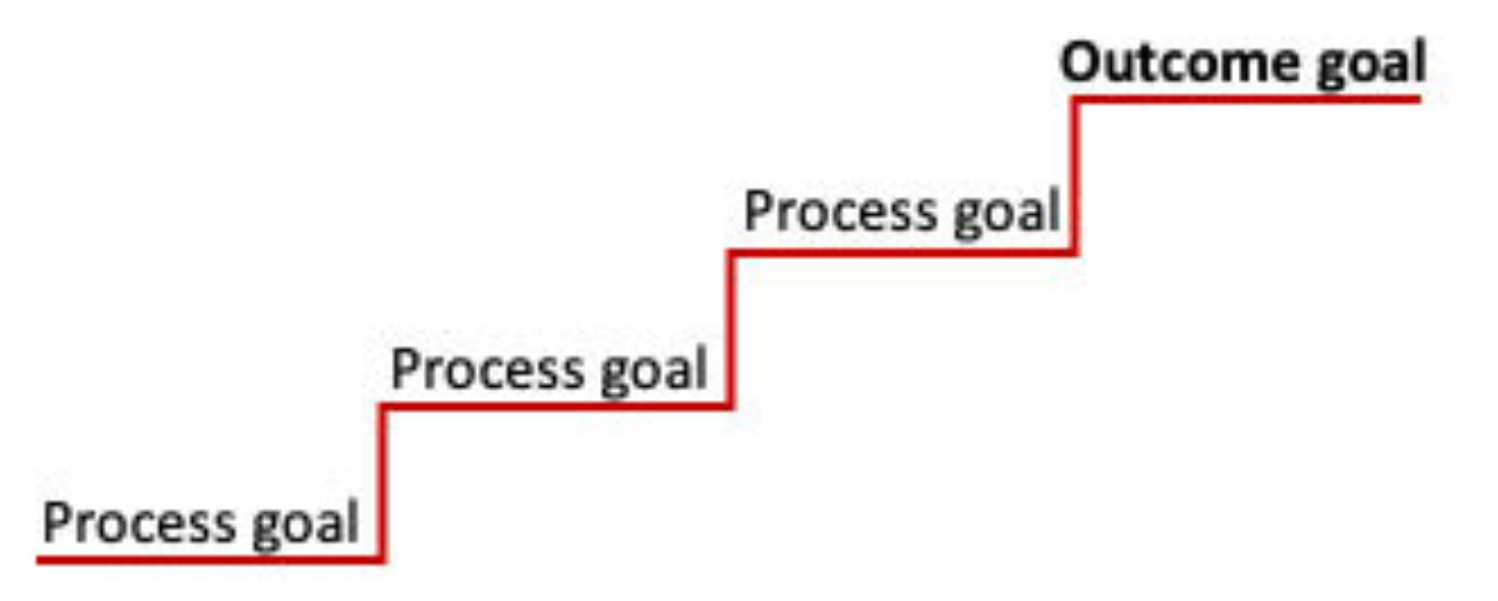Goal Steps