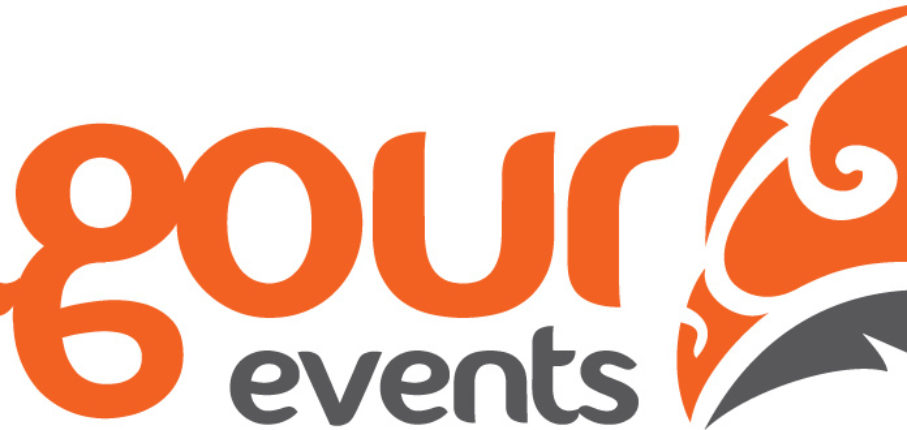 Vig Logo