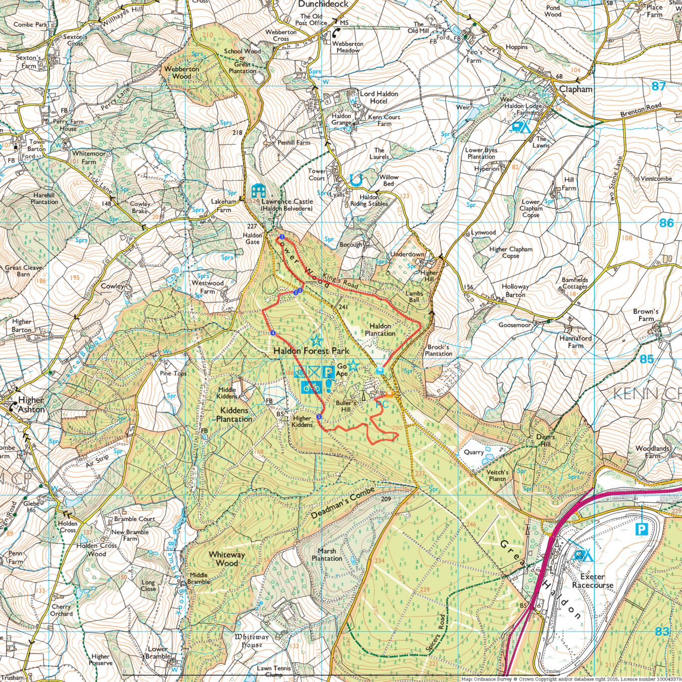 Haldon5Km