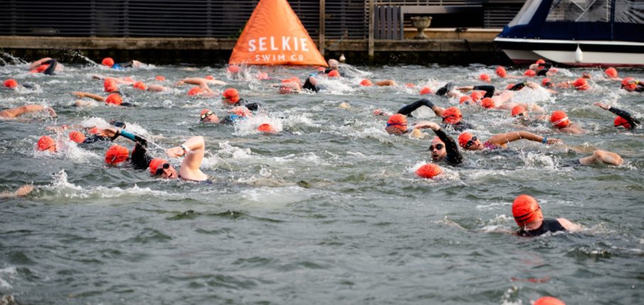 Orange Swimming