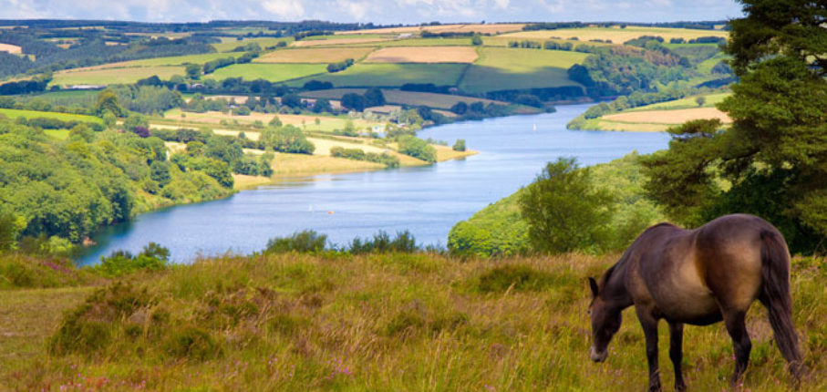 Wimbleball Lake Exmoor Haddon Hill Somerset