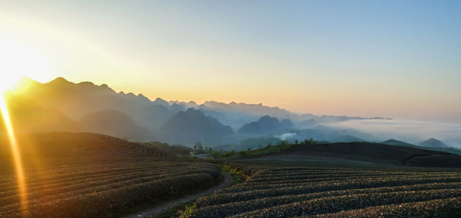 Vietnam Trail Marathon