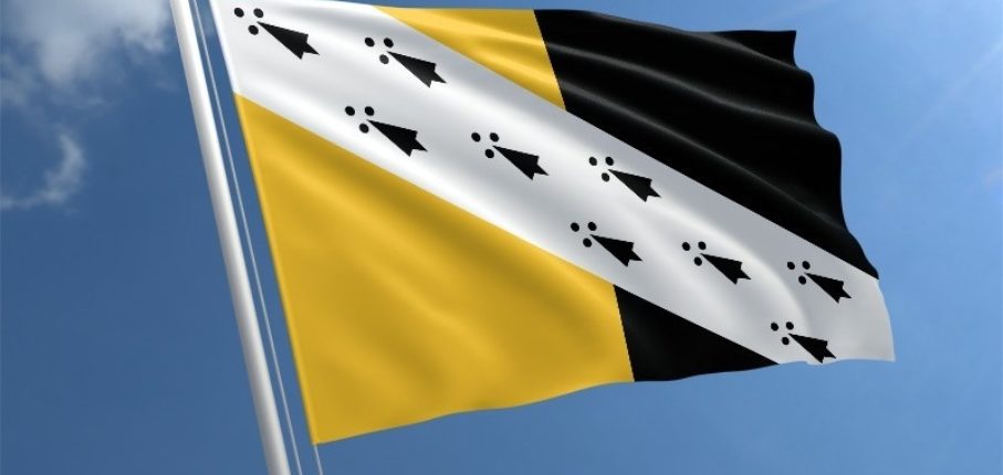 Norfolk Flag Std