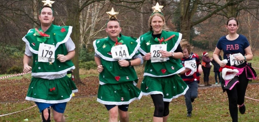 Xmas Trees For Find A Race