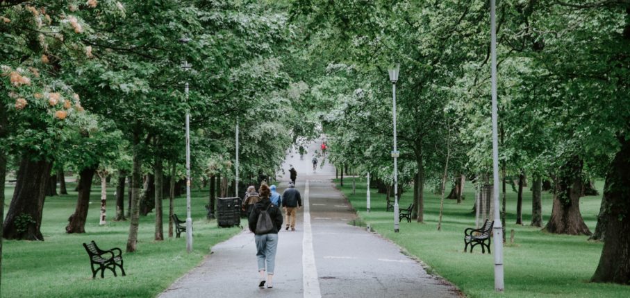 Adli Wahid The Meadows Unsplash