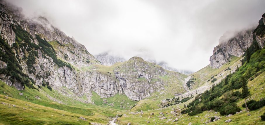 Adi Ulici Wwz Qkv Y6 Pv A Unsplash