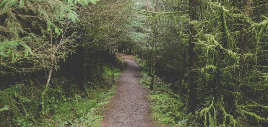 Josh Hill Qn O6 Wslr B6 E Unsplash