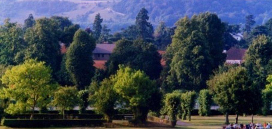 Reigate Priory Park 2